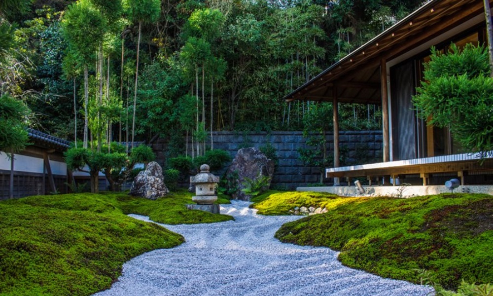 Japanese Zen Garden Design: Serenity in Your Yard