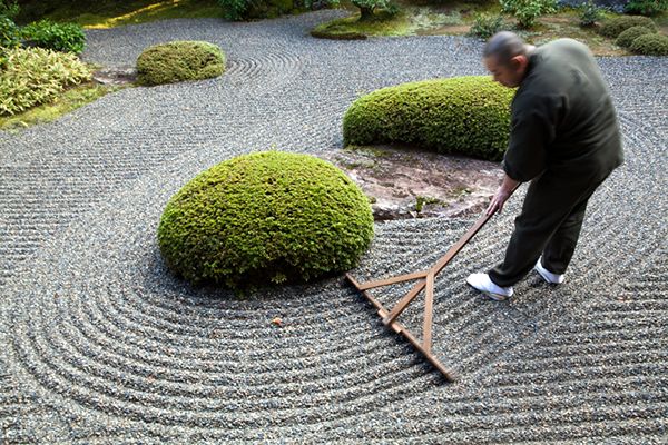Maintaining Your Zen Garden